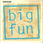 icehouse-bigfunozcd5a