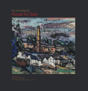 it's immaterial - house for salew cover art